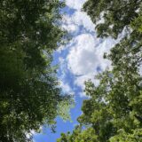 10周年のご挨拶