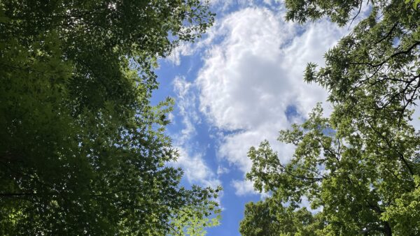 10周年のご挨拶